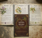 Natural Healing Handbook – Herbal Remedies & Holistic Health Guide
